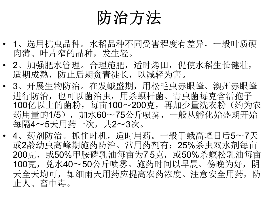 《水稻常见病害》PPT课件.ppt_第3页