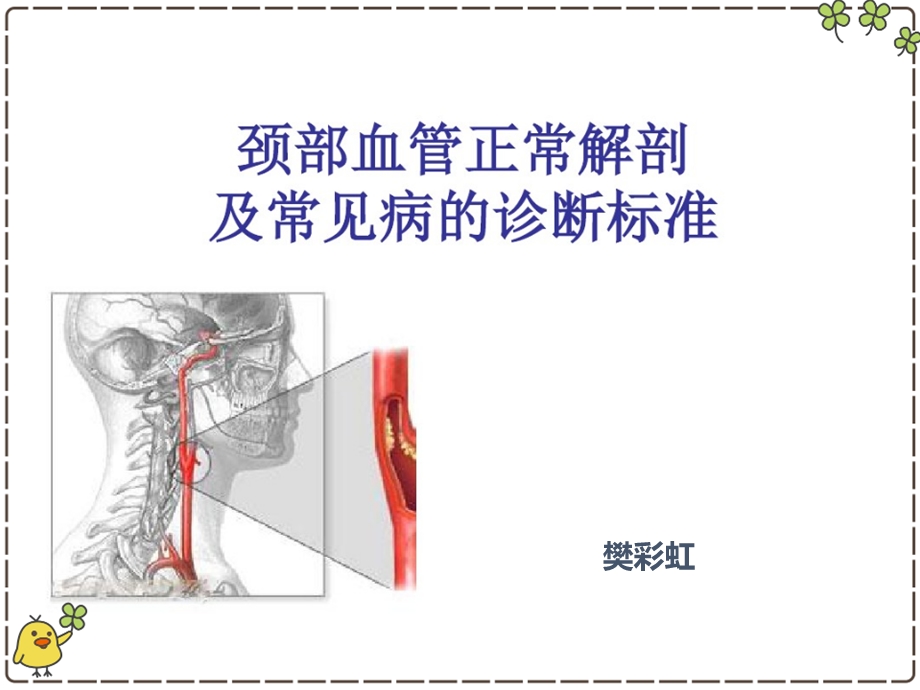 《颈部血管解剖》PPT课件.ppt_第1页