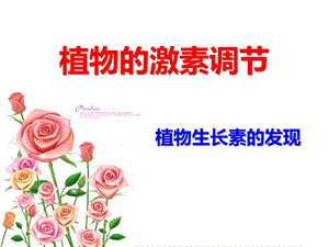 《物的激素调节》PPT课件.ppt