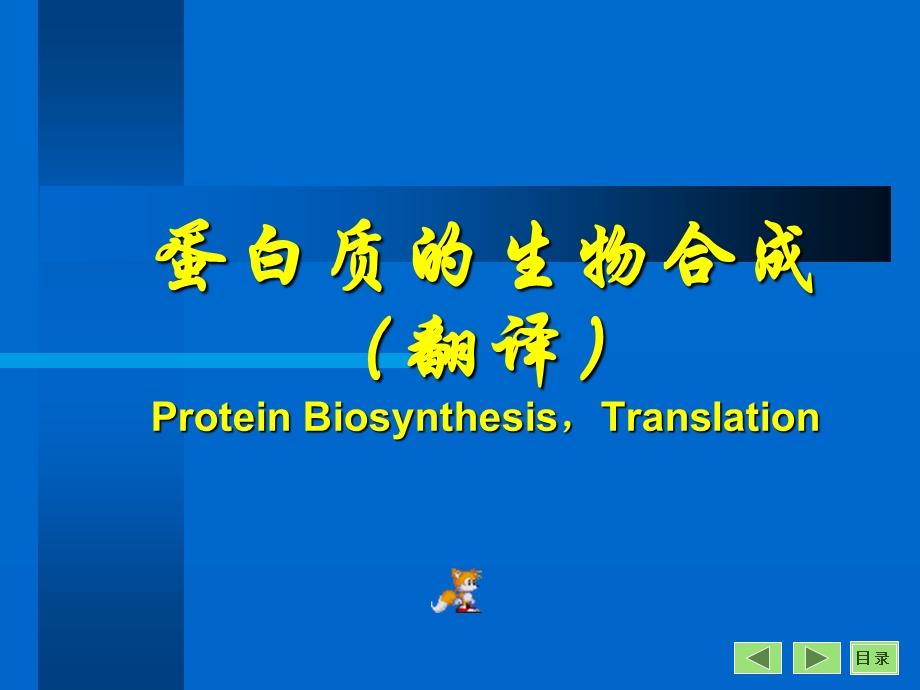 《生物化学翻译》PPT课件.ppt_第1页