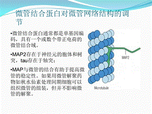 《微管及其应用》PPT课件.ppt