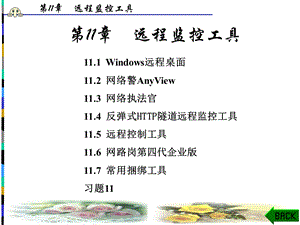 《远程监控工具》PPT课件.ppt