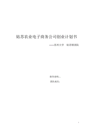 姑苏农业电子商务公司创业计划书.doc