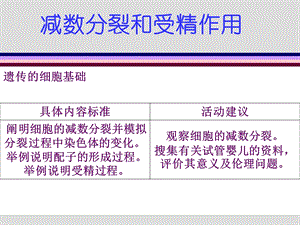 《遗传的细胞基础》PPT课件.ppt