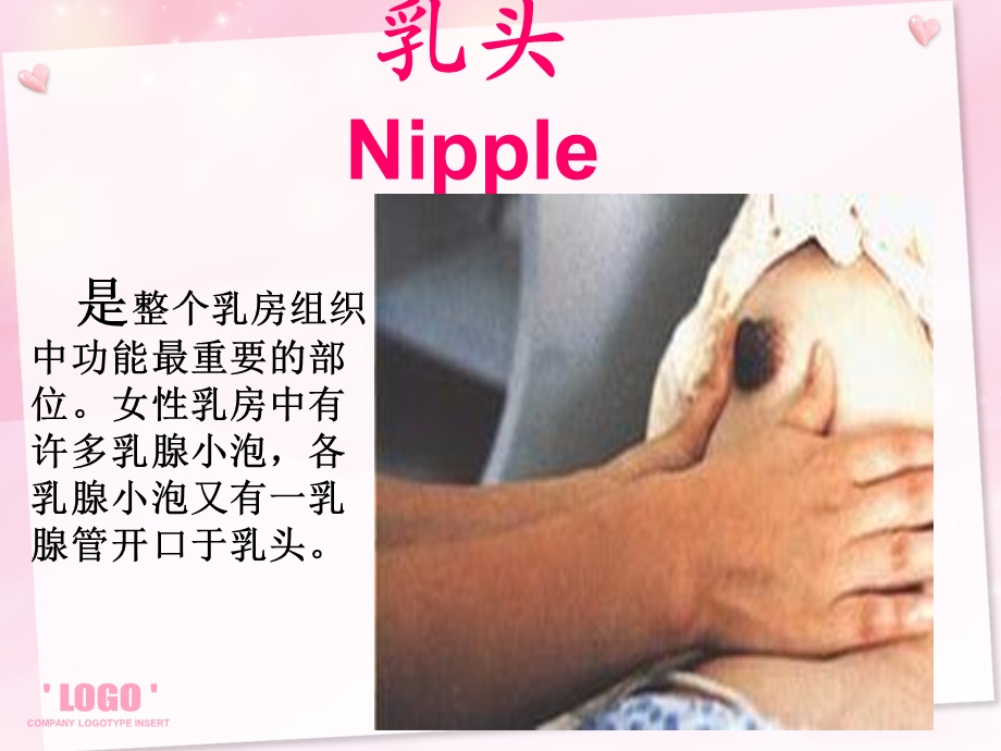 《乳头凹陷的护理》PPT课件.ppt_第3页