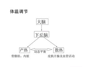 《骨骼肌内脏》PPT课件.ppt