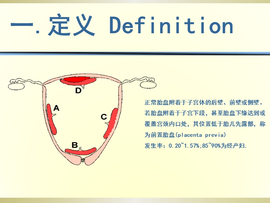 大学护理学 ppt课件.ppt_第3页