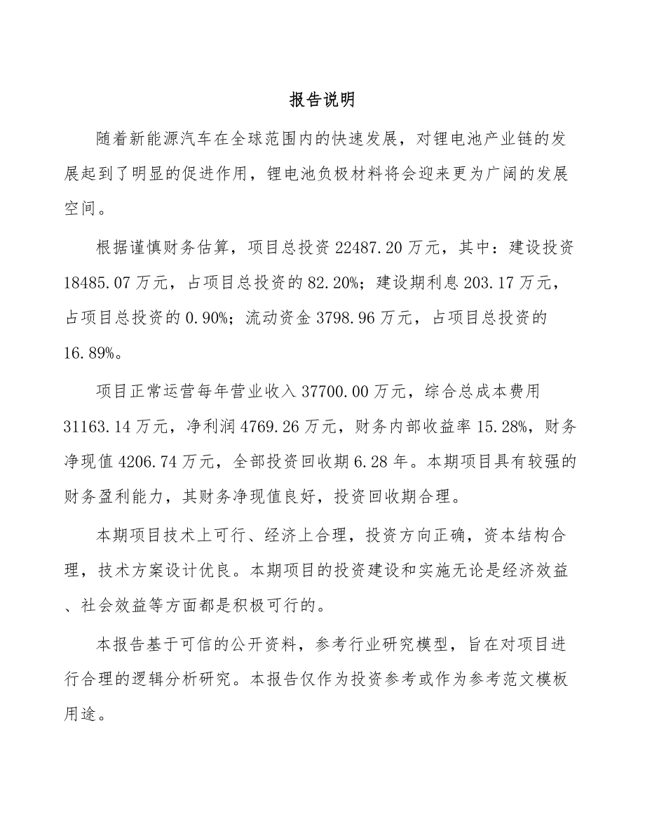 南宁负极材料项目可行性研究报告.docx_第1页