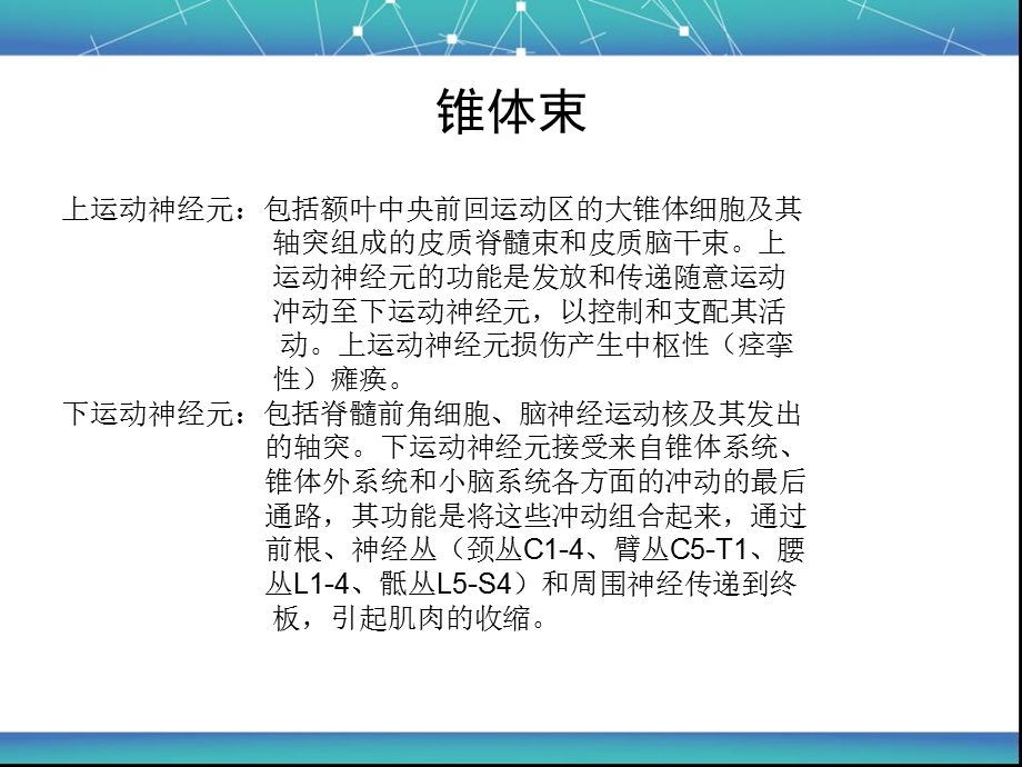 《瘫痪的类型及病因》PPT课件.ppt_第3页