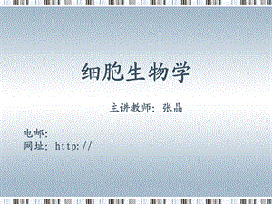 《细胞学概论》PPT课件.ppt