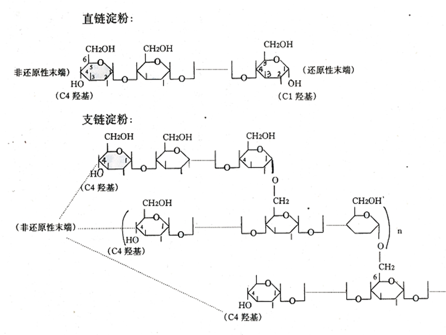 《淀粉酶的生产》PPT课件.ppt_第3页