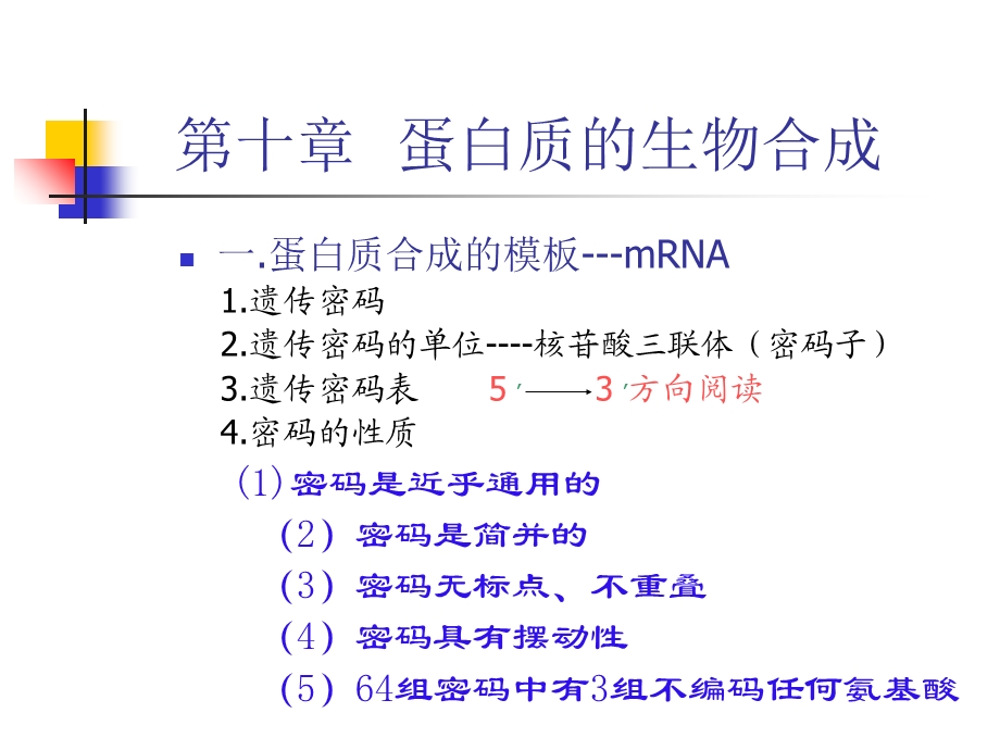 《蛋白质生物合成》PPT课件.ppt_第1页