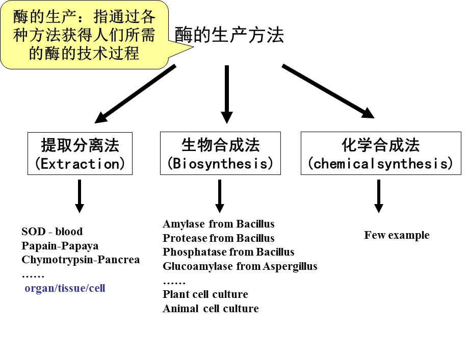 《酶生物合成的调节》PPT课件.ppt_第2页