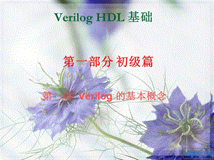 硬件描述语言verilogHDL基础ppt课件.ppt