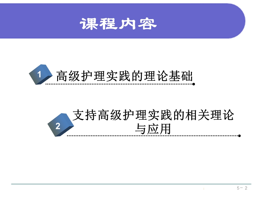 《高级护理实践》PPT课件.ppt_第2页