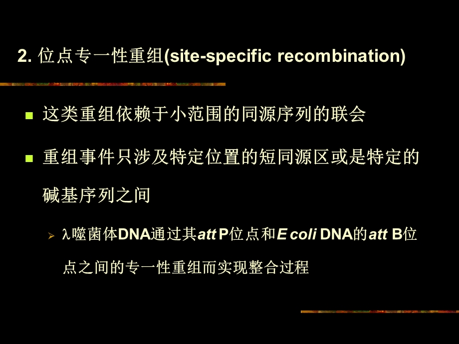 《遗传重组》PPT课件.ppt_第3页