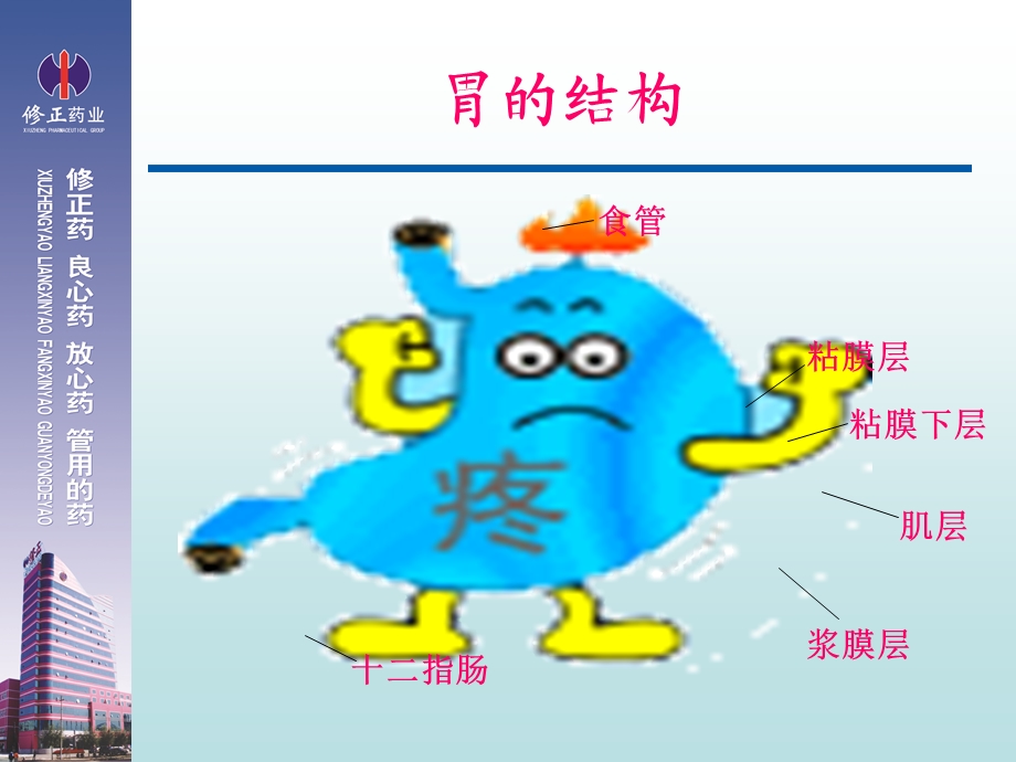 《联合用药》PPT课件.ppt_第3页