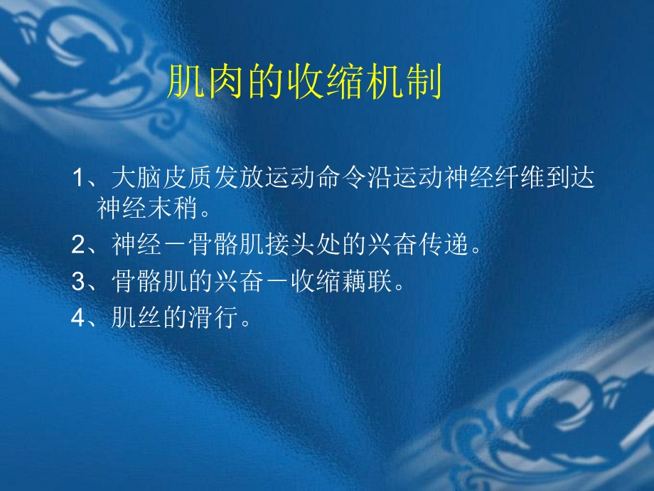 《肌力训练技术》PPT课件.ppt_第3页