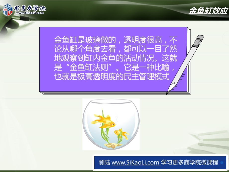 《金鱼缸效应》PPT课件.ppt_第2页