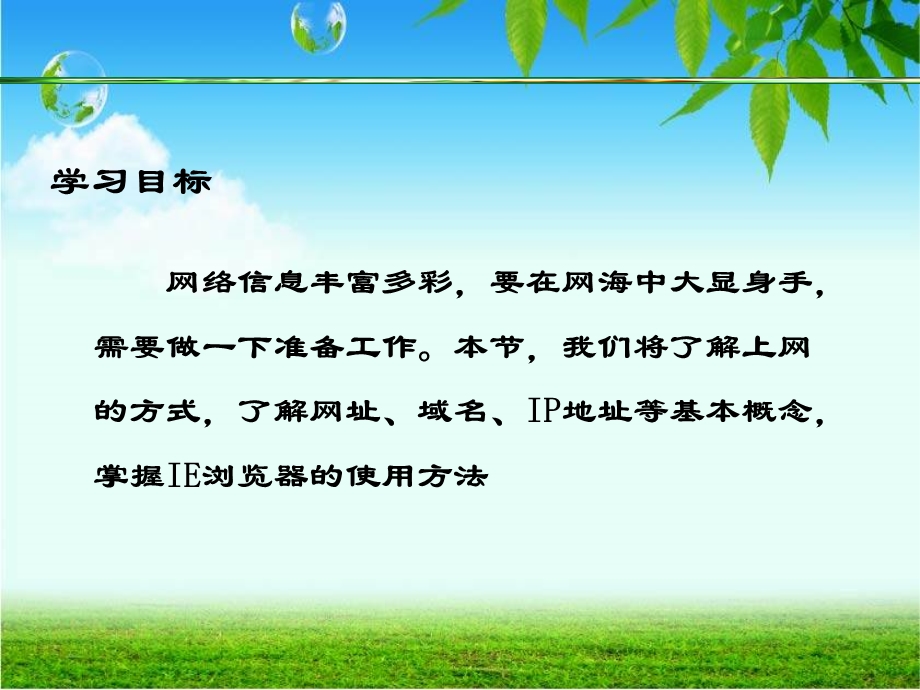 《走进网络世界》PPT课件.ppt_第2页