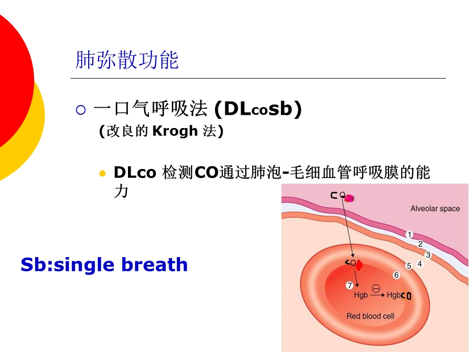 《肺弥散功能检查》PPT课件.ppt_第2页