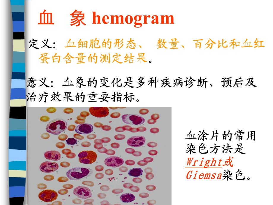 血液与肌组织xing.ppt_第3页