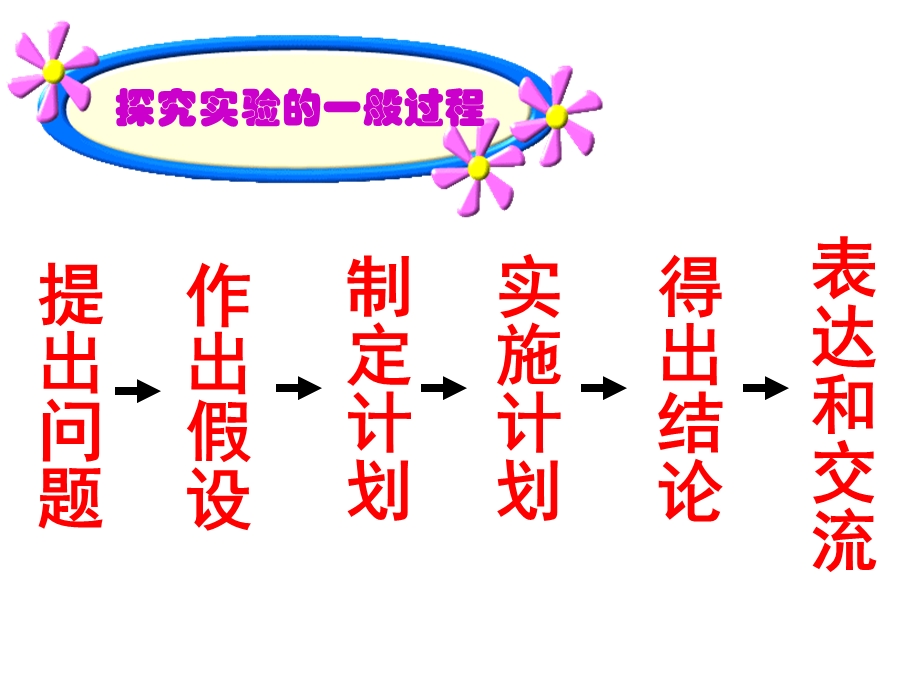 《种子萌发条件》PPT课件.ppt_第3页