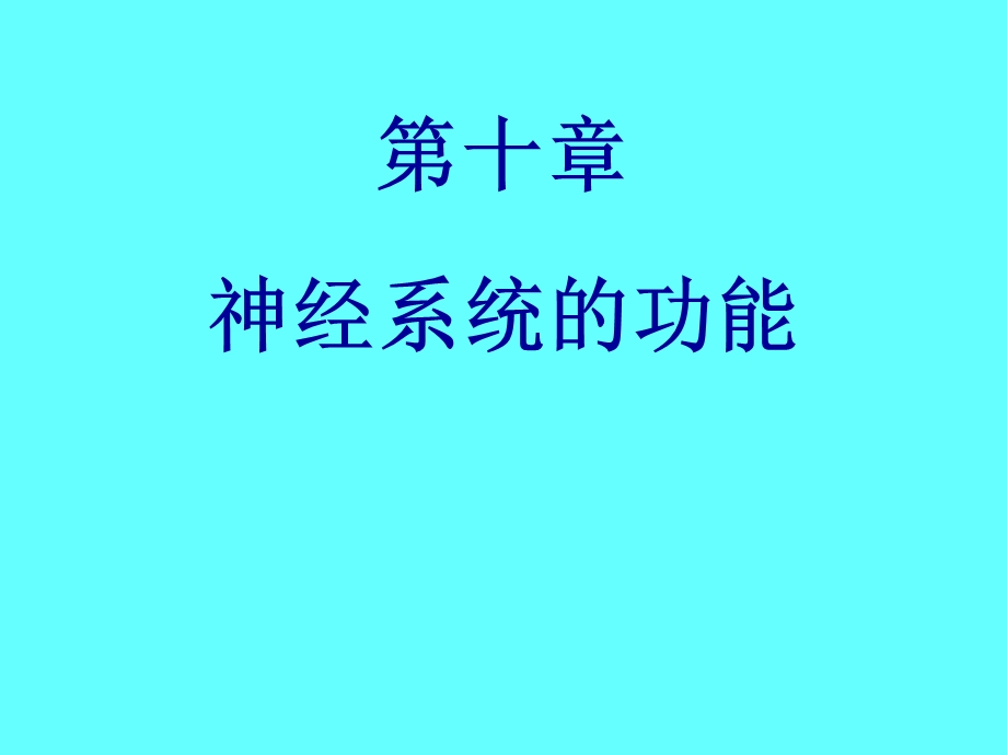 《神经系统的功能》PPT课件.ppt_第1页