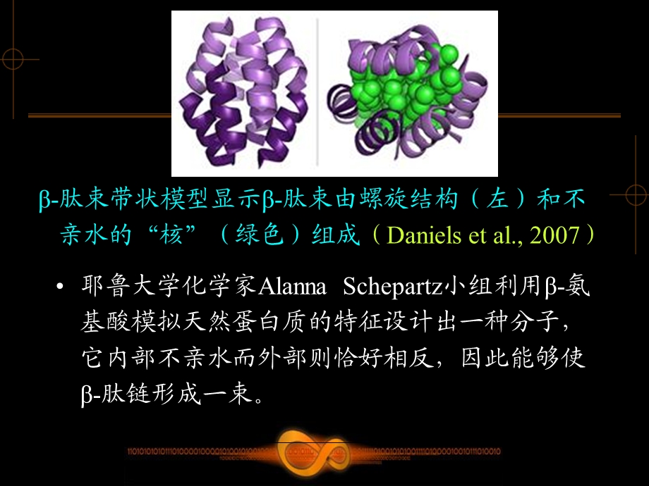 《蛋白质分子设计》PPT课件.ppt_第3页