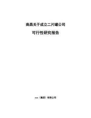 南昌关于成立二片罐公司可行性研究报告.docx