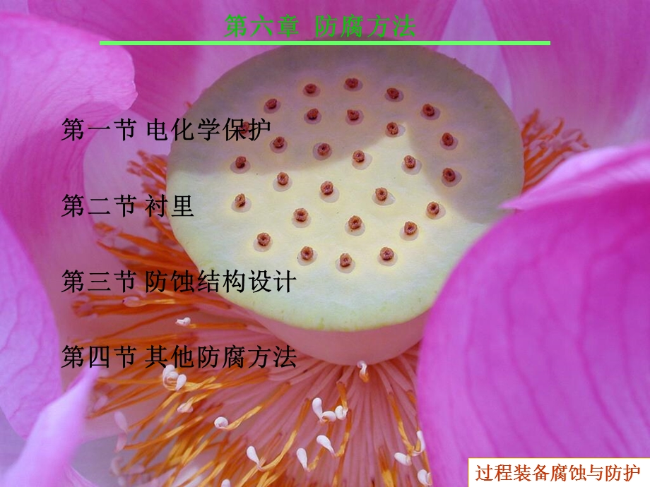 《防腐方法》PPT课件.ppt_第1页