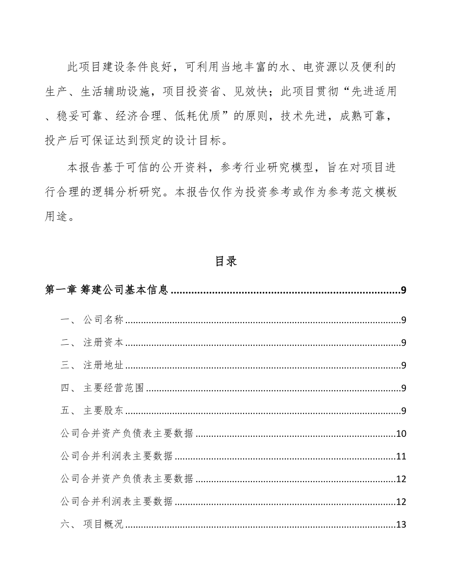 南宁关于成立电子浆料公司可行性研究报告.docx_第3页