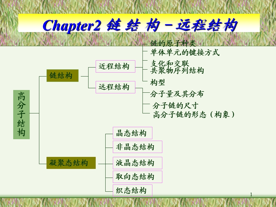 《高分子结构》PPT课件.ppt_第1页