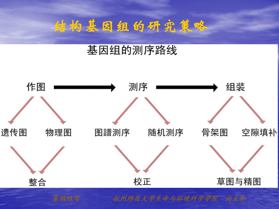 《遗传学图谱》PPT课件.ppt_第3页