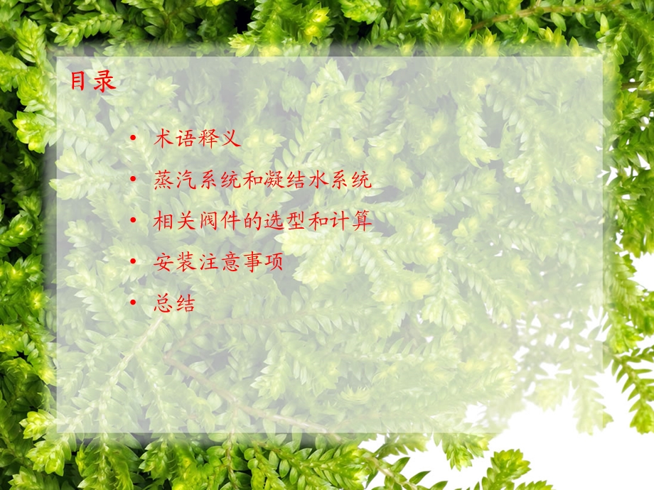 《蒸汽系统说明》PPT课件.ppt_第2页