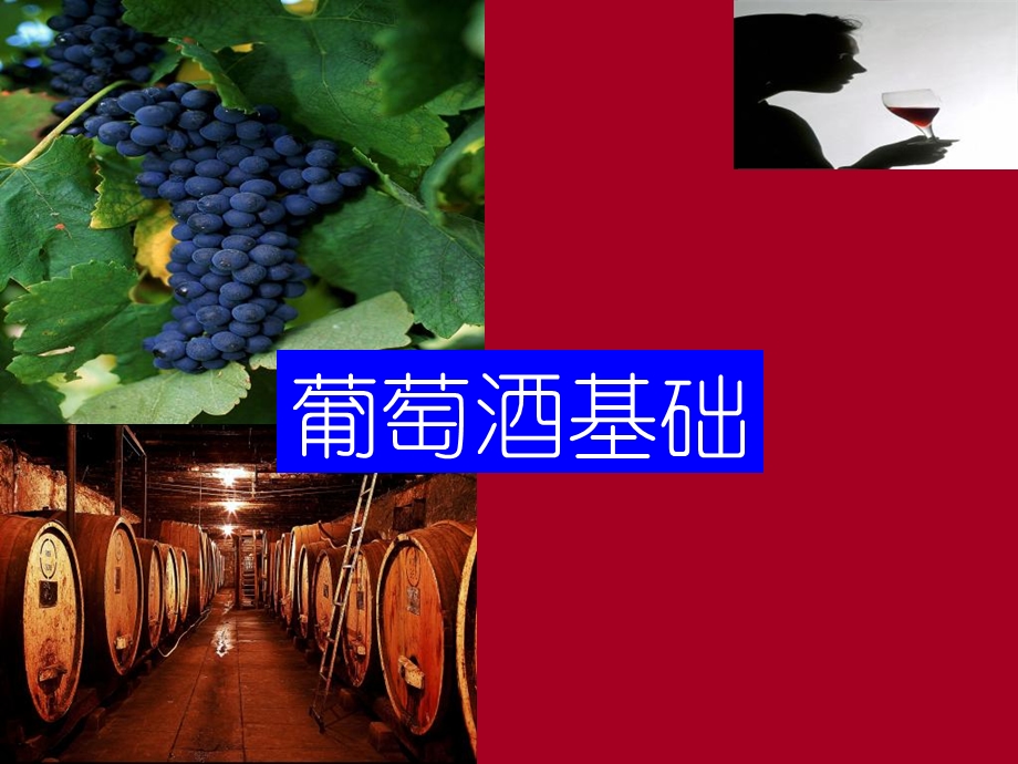 《葡萄酒基础》PPT课件.ppt_第1页