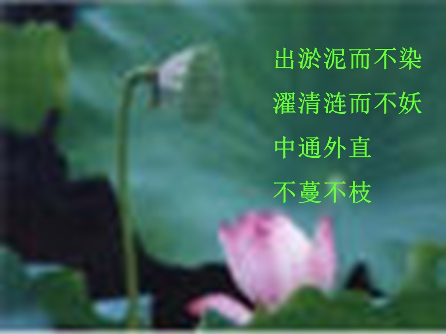 晓出净慈寺送林子方杨万里.ppt_第3页