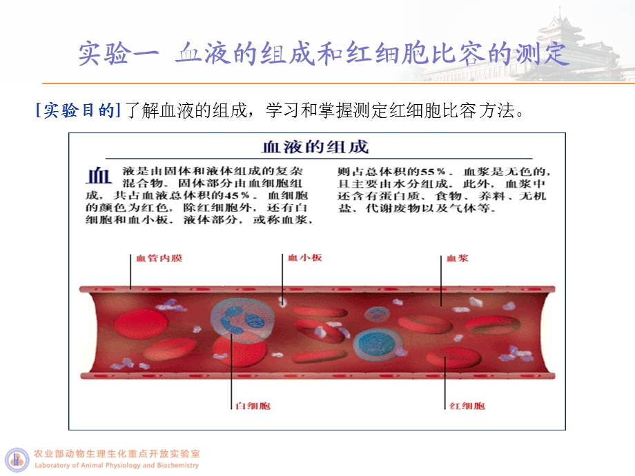 《血液生理试验》PPT课件.ppt_第2页