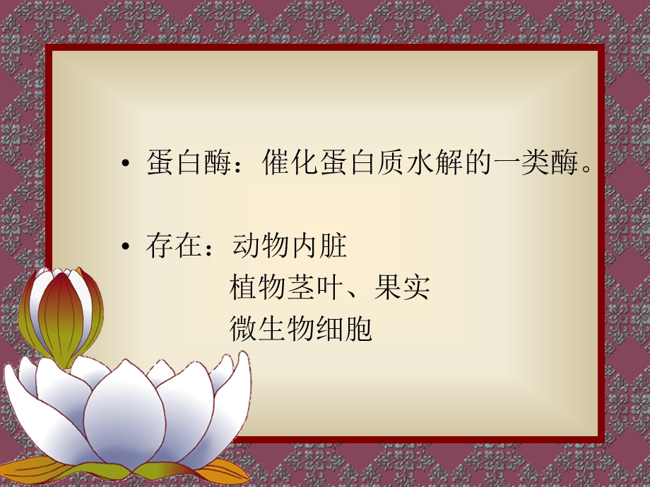 《蛋白酶类》PPT课件.ppt_第2页