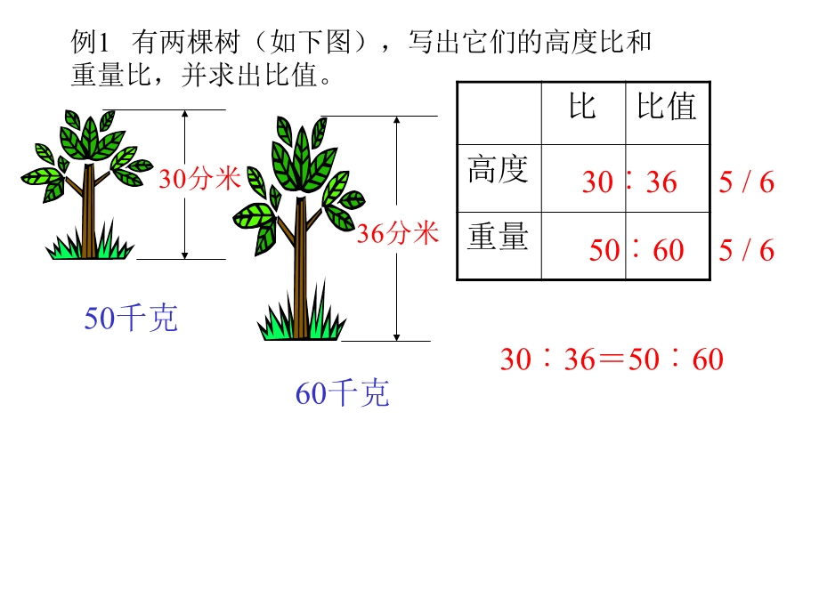 《执教者徐美珍》PPT课件.ppt_第3页