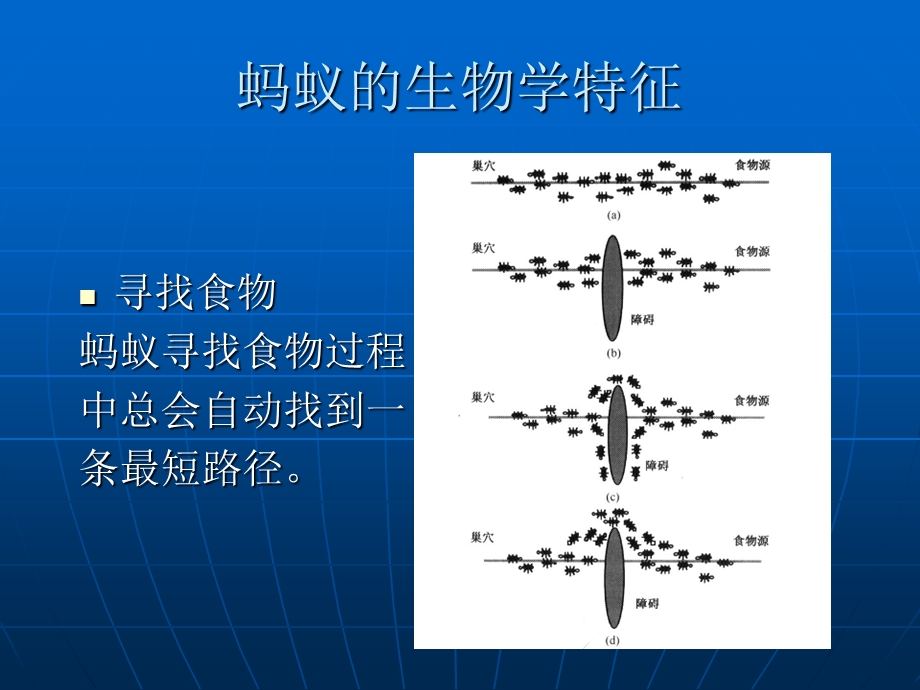 《蚁群算法发展》PPT课件.ppt_第3页