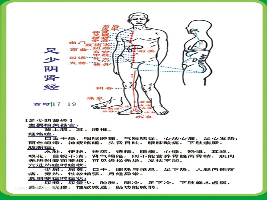 《足太阴肾经讲》PPT课件.ppt_第3页