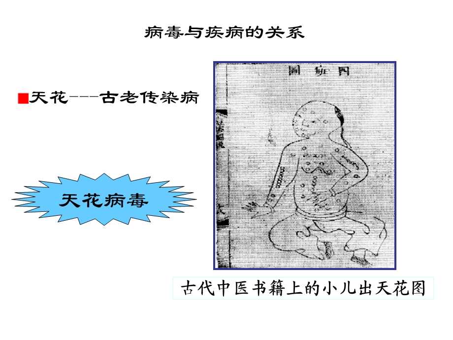 《艾滋病的启》PPT课件.ppt_第2页