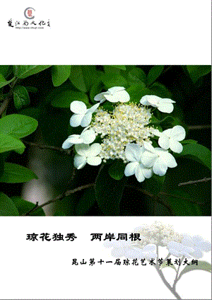 《琼花艺术节》PPT课件.ppt