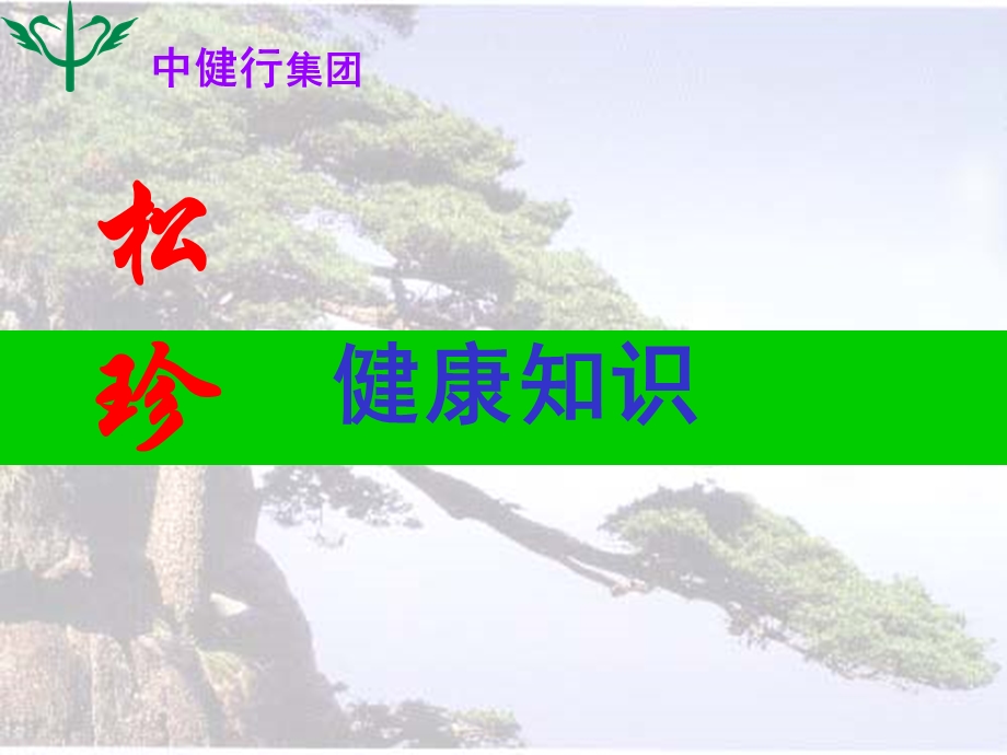 《松珍产品宣传》PPT课件.ppt_第1页