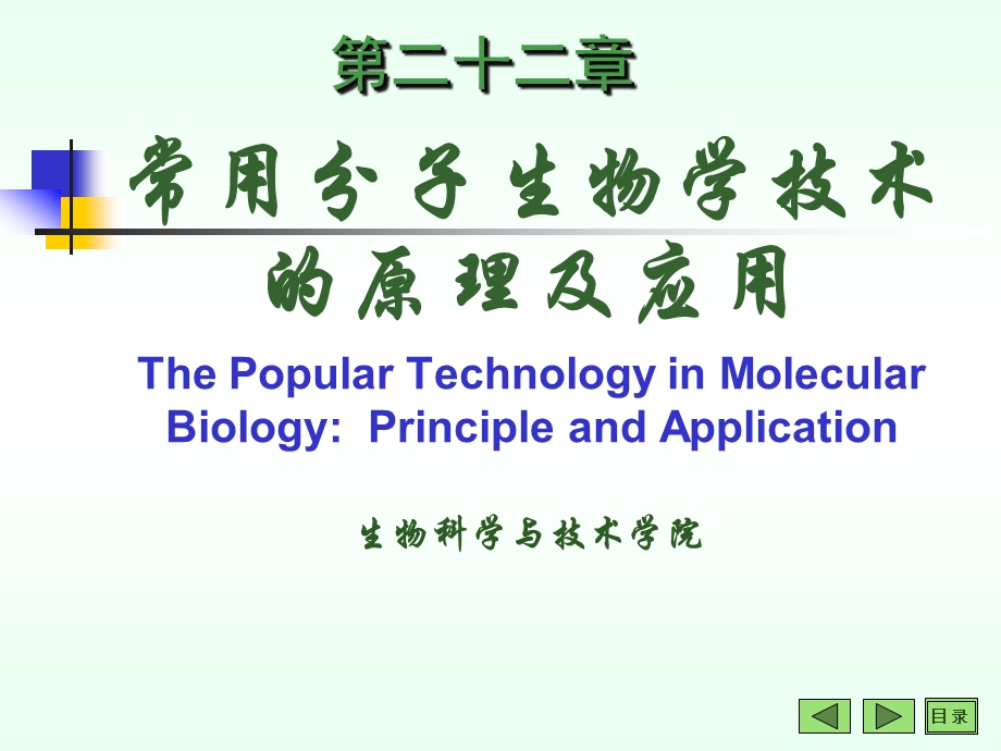 修饰动物模型的建立及应用.ppt_第1页