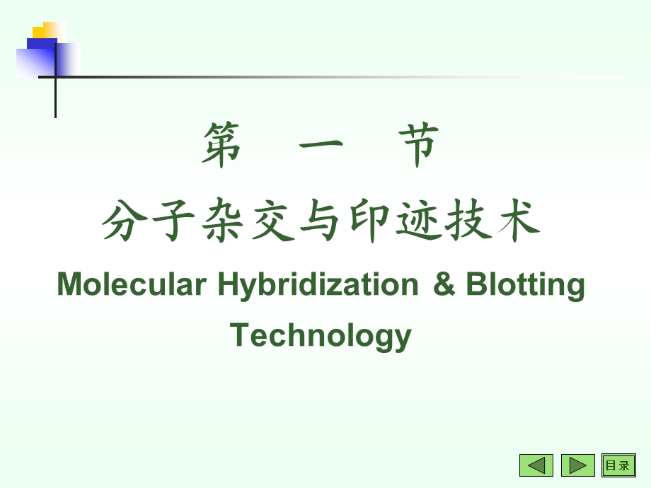 修饰动物模型的建立及应用.ppt_第2页