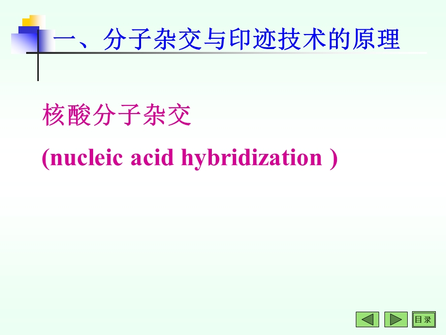 修饰动物模型的建立及应用.ppt_第3页