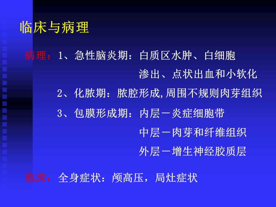 《颅内感染疾病》PPT课件.ppt_第3页