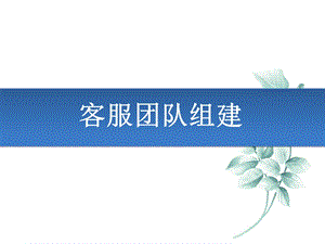 《客服团队组建》PPT课件.ppt